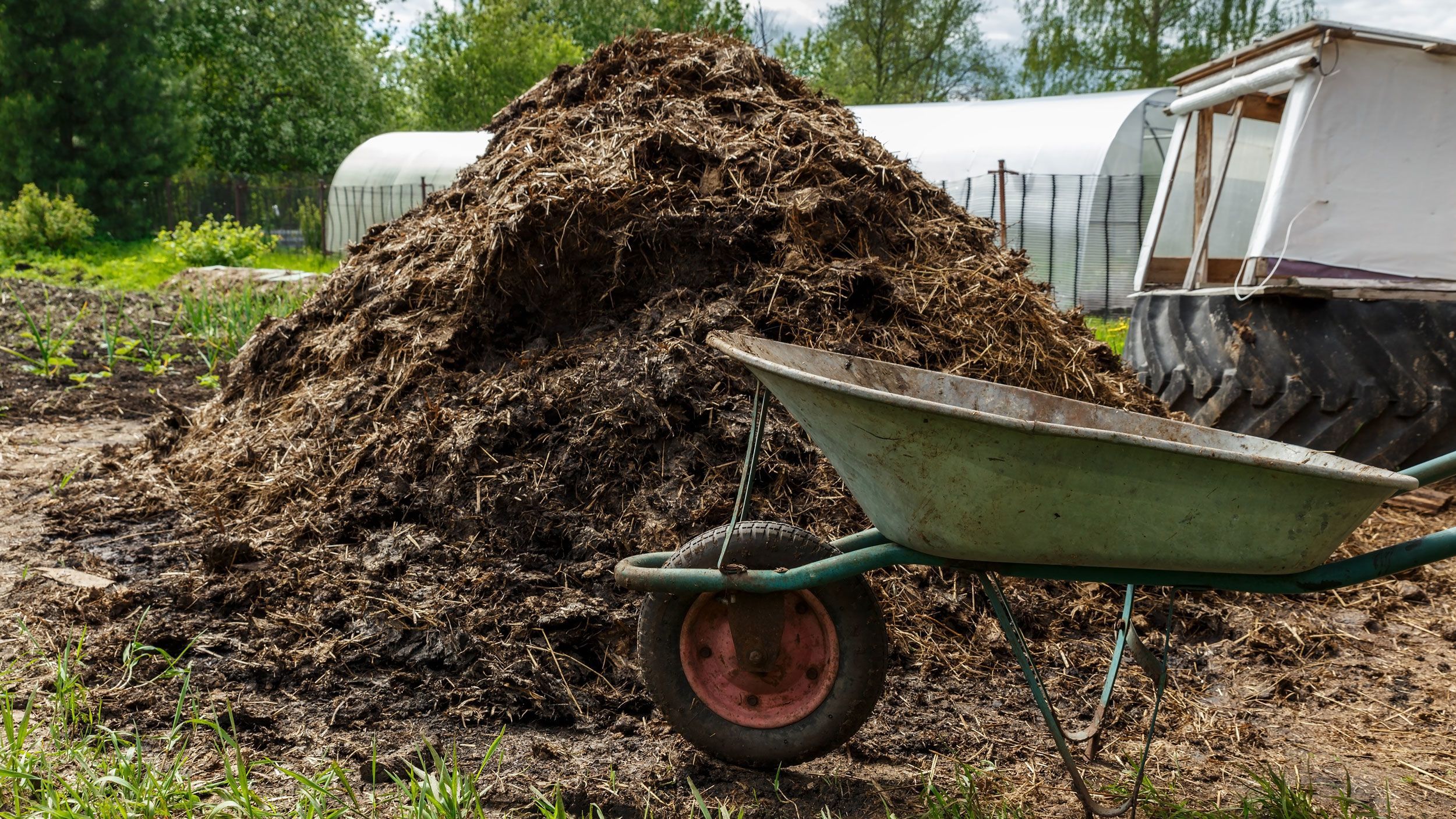A California man was sentenced to over six years in prison for running a multimillion-dollar scheme where he pretended to turn cow manure into green energy, authorities say.
