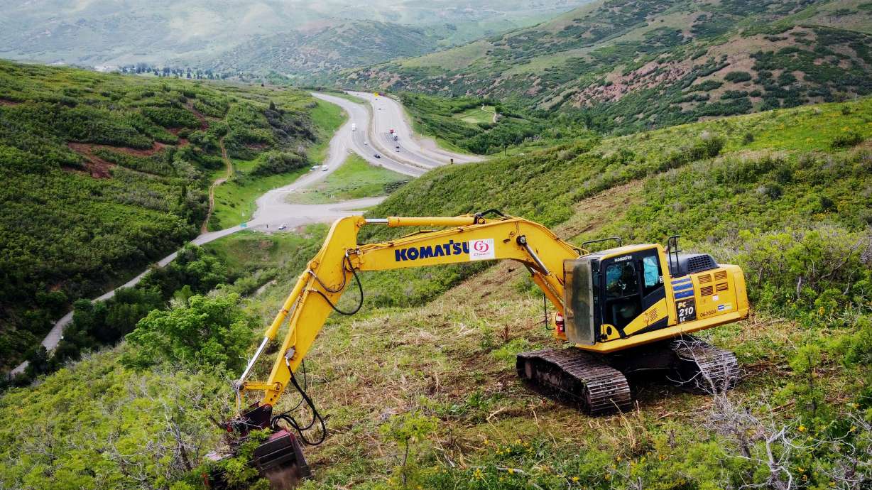 A worker clears vegetation in the mountains near Lambs Canyon near I-80 on June 9. A controversial proposal for bush and tree thinning in the Great Salt Lake watershed is once again being pushed by a GOP Salt Lake County Council member.
