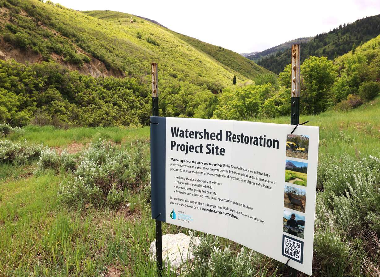 Crews work to trim vegetation in the mountains near Lambs Canyon near I-80 on June 9.