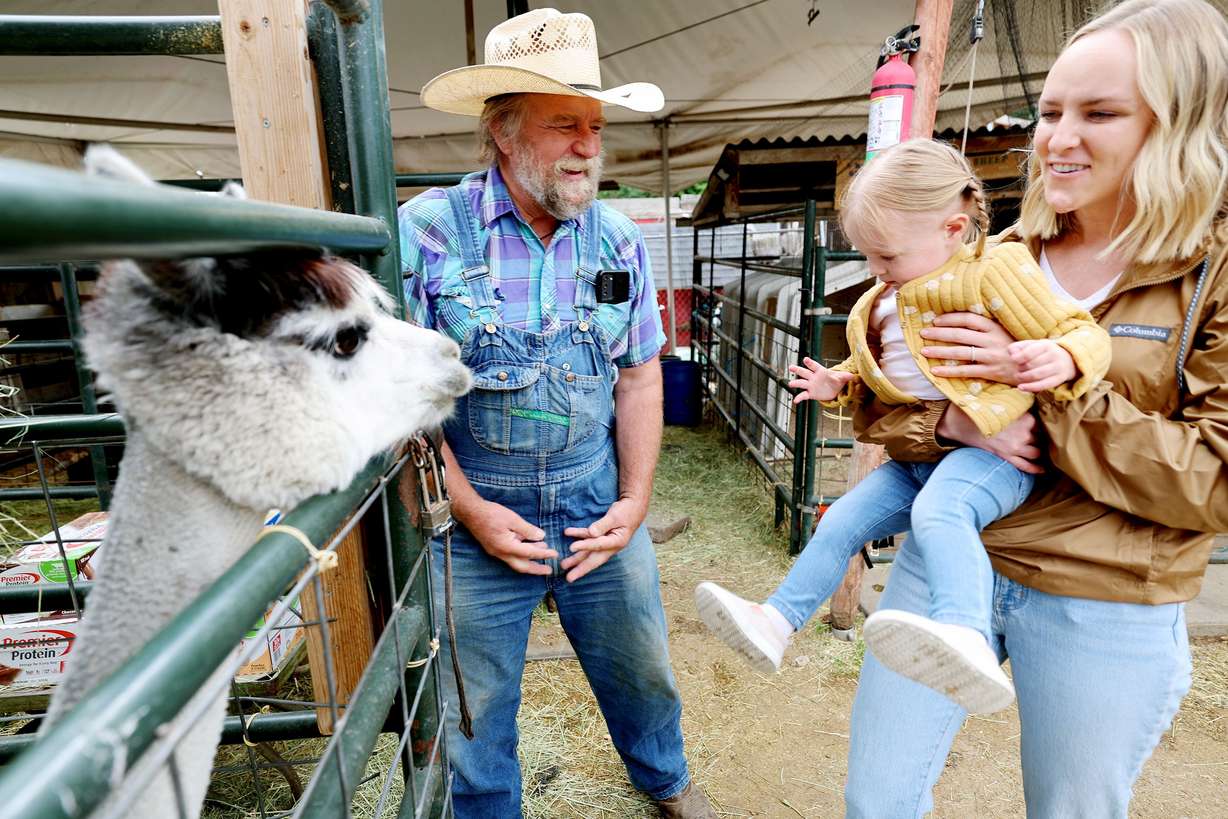Gil Ma, the director of the farm at Gardner Village in West Jordan, introduces Kalli Pendley and her daughter Ellie Pendley to Prudence the kissing alpaca on June 20.