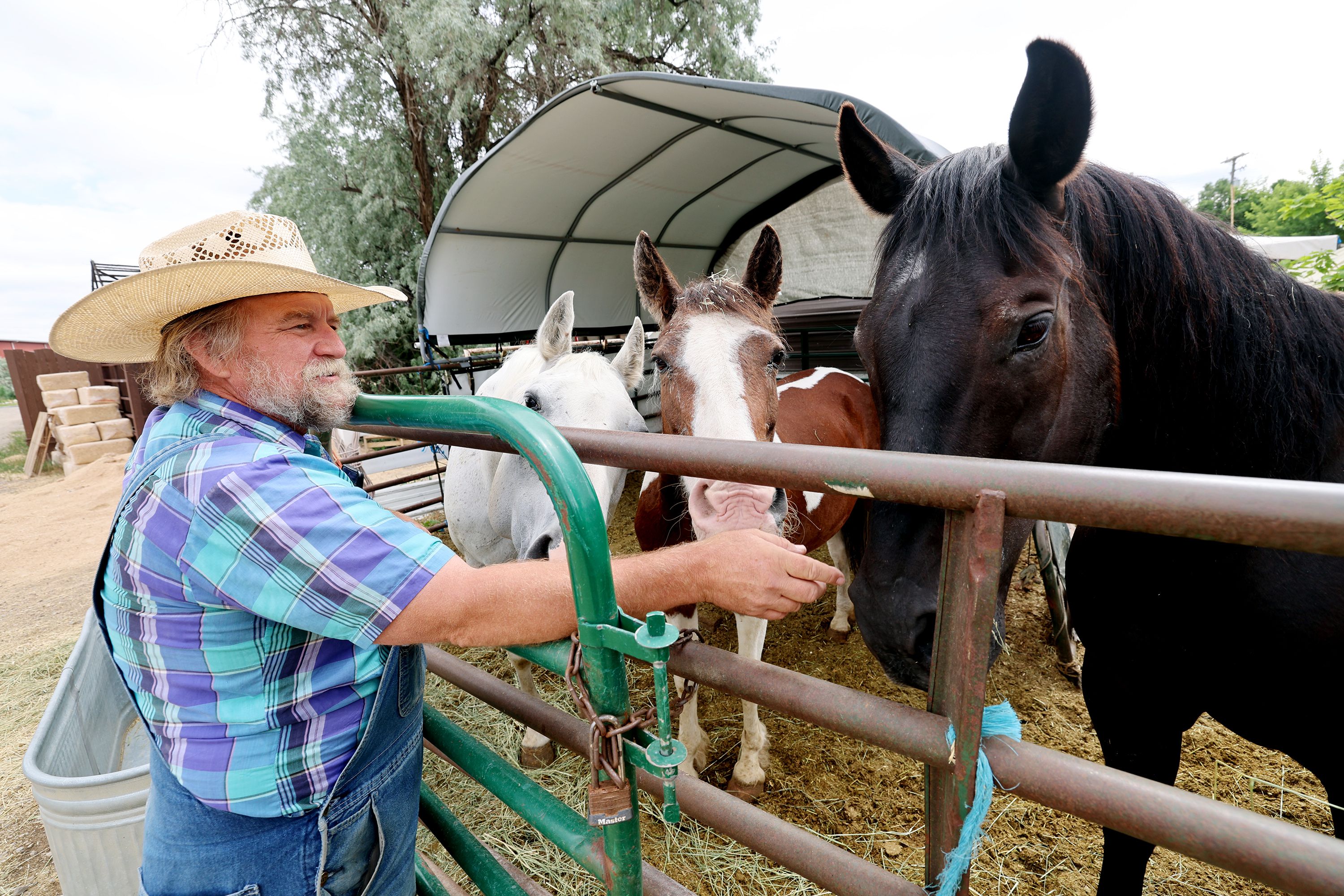Gil Ma, the director of the farm at Gardner Village in West Jordan. talks with three of the horses at the farm on June 20.