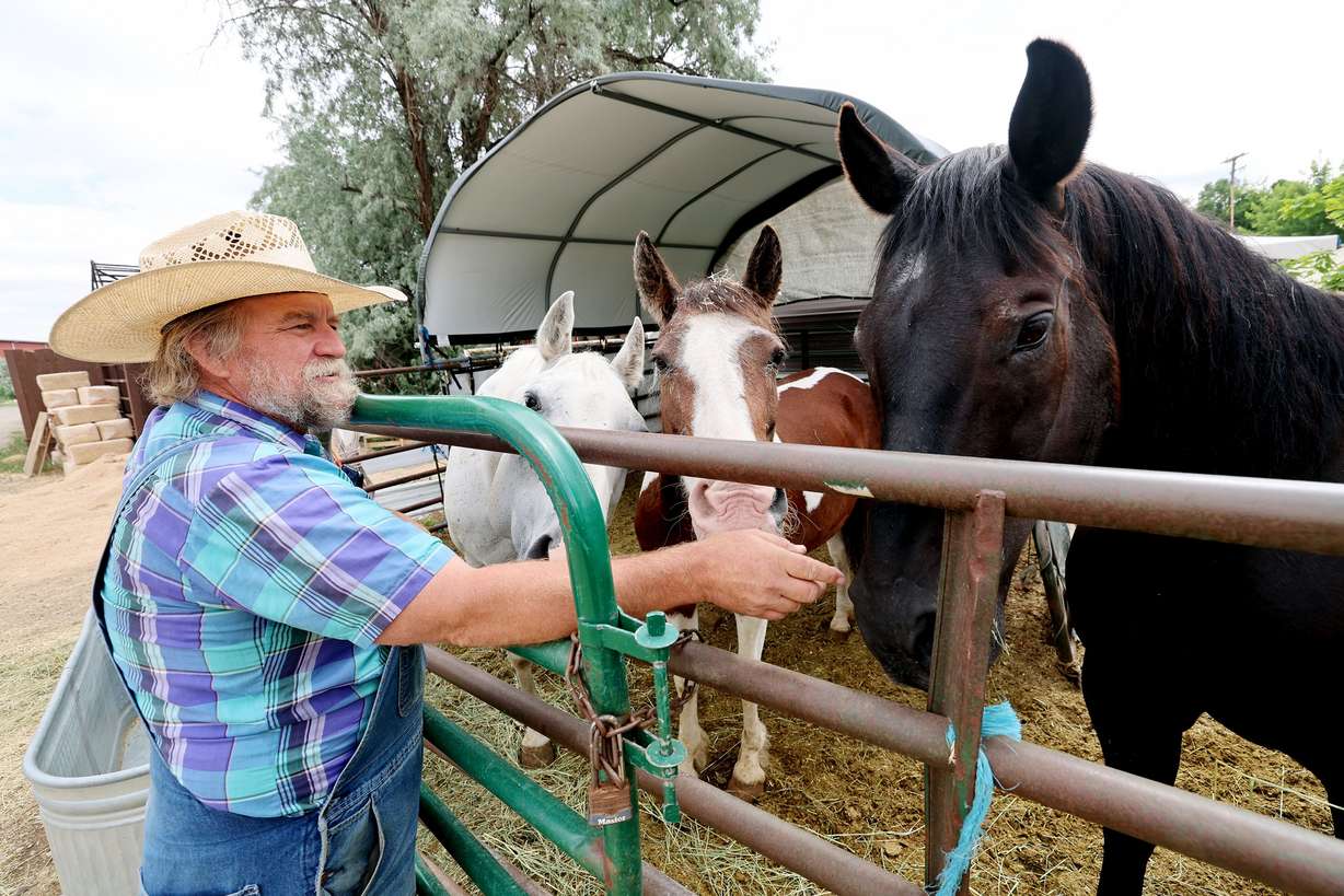 Gil Ma, the director of the farm at Gardner Village in West Jordan. talks with three of the horses at the farm on June 20.