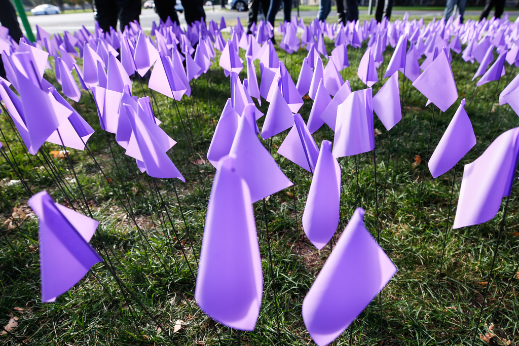 Purple flags placed at Liberty Park in Salt Lake City on Oct. 17, 2020, in recognition of those who are impacted by domestic violence. Domestic violence service providers in Utah will see a significant funding cut to their budgets this year.