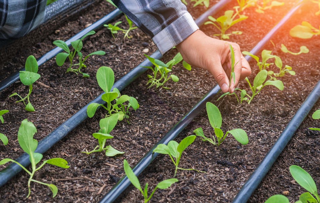 How individuals can preserve Utah's water even as the population grows