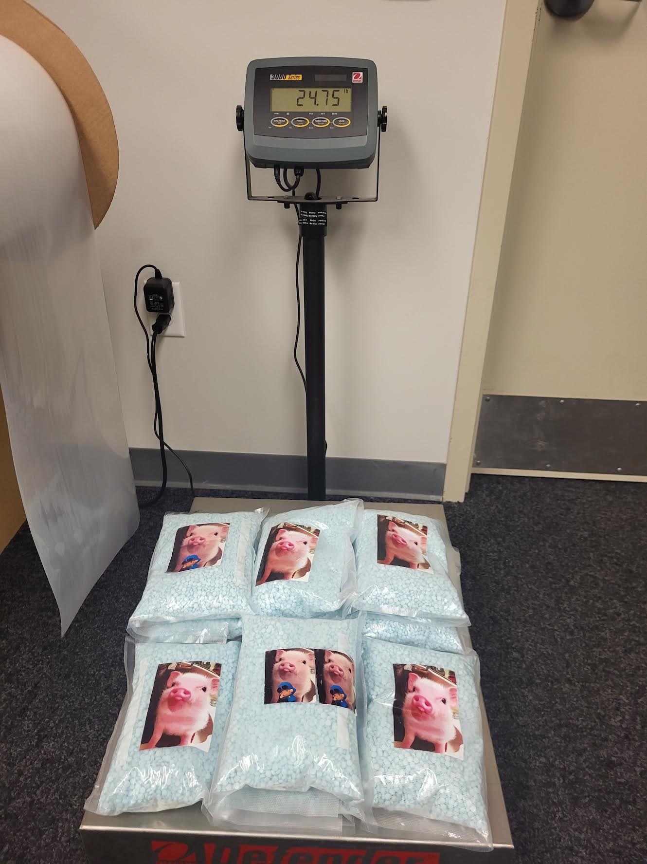 Nearly 25 pounds of fentanyl pills worth more than $1 million was seized during a routine traffic stop in Utah County on Wednesday. 