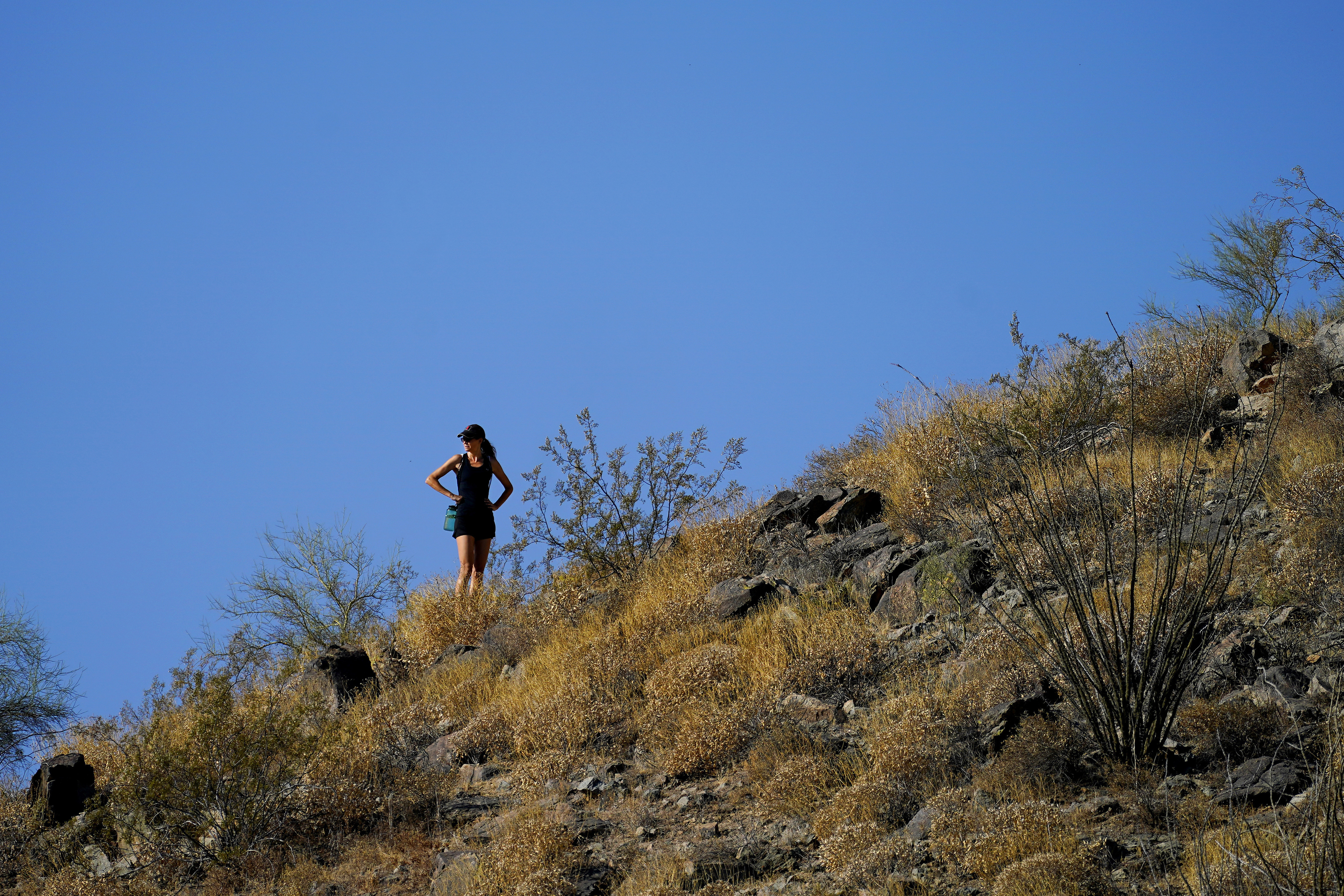 How extreme heat takes a toll on the mind and body, according to experts - Vimarsana News