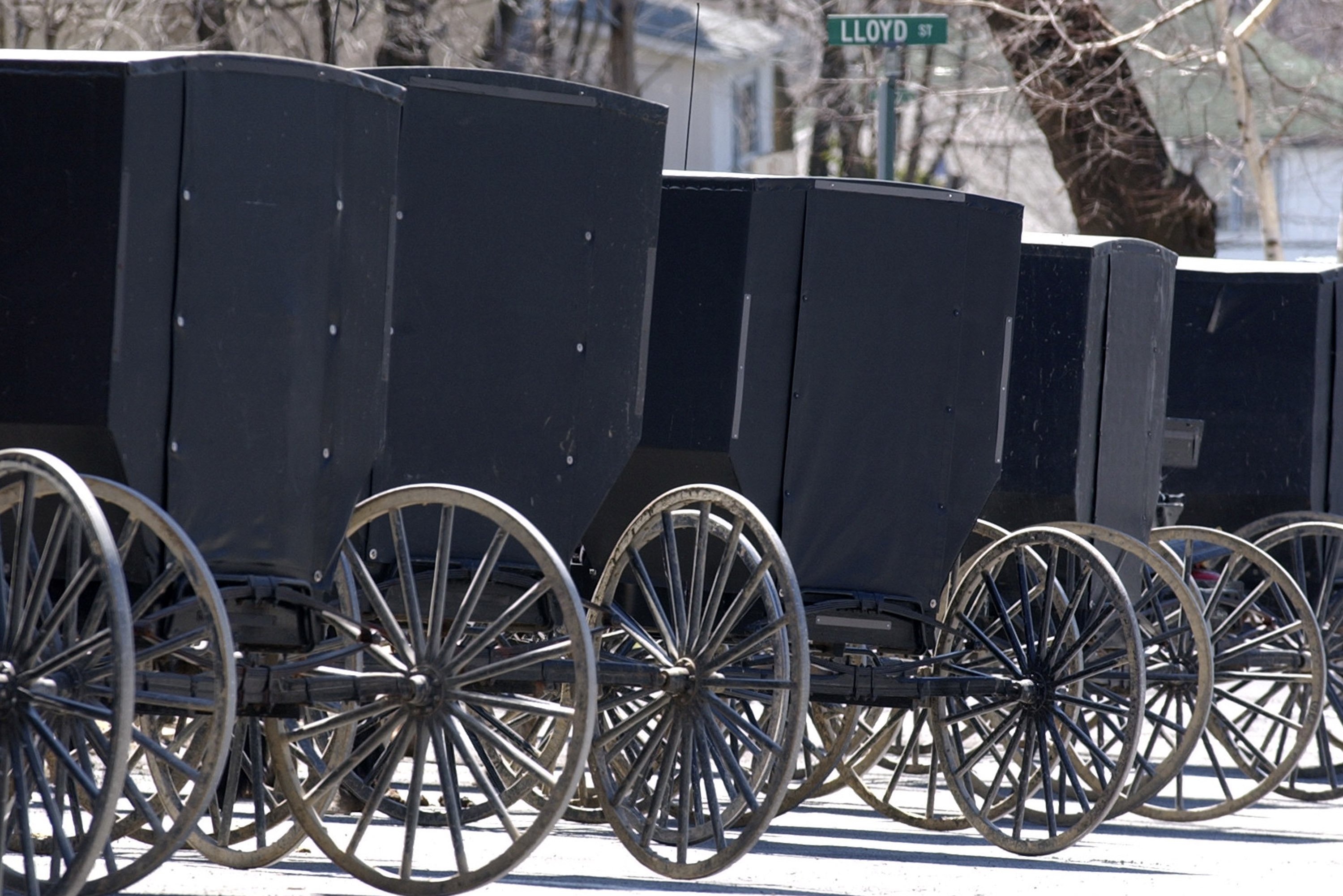 A state appeals court said on Monday members of a deeply conservative Amish community in Minnesota don’t need to install septic systems to dispose of their “gray water.” 
