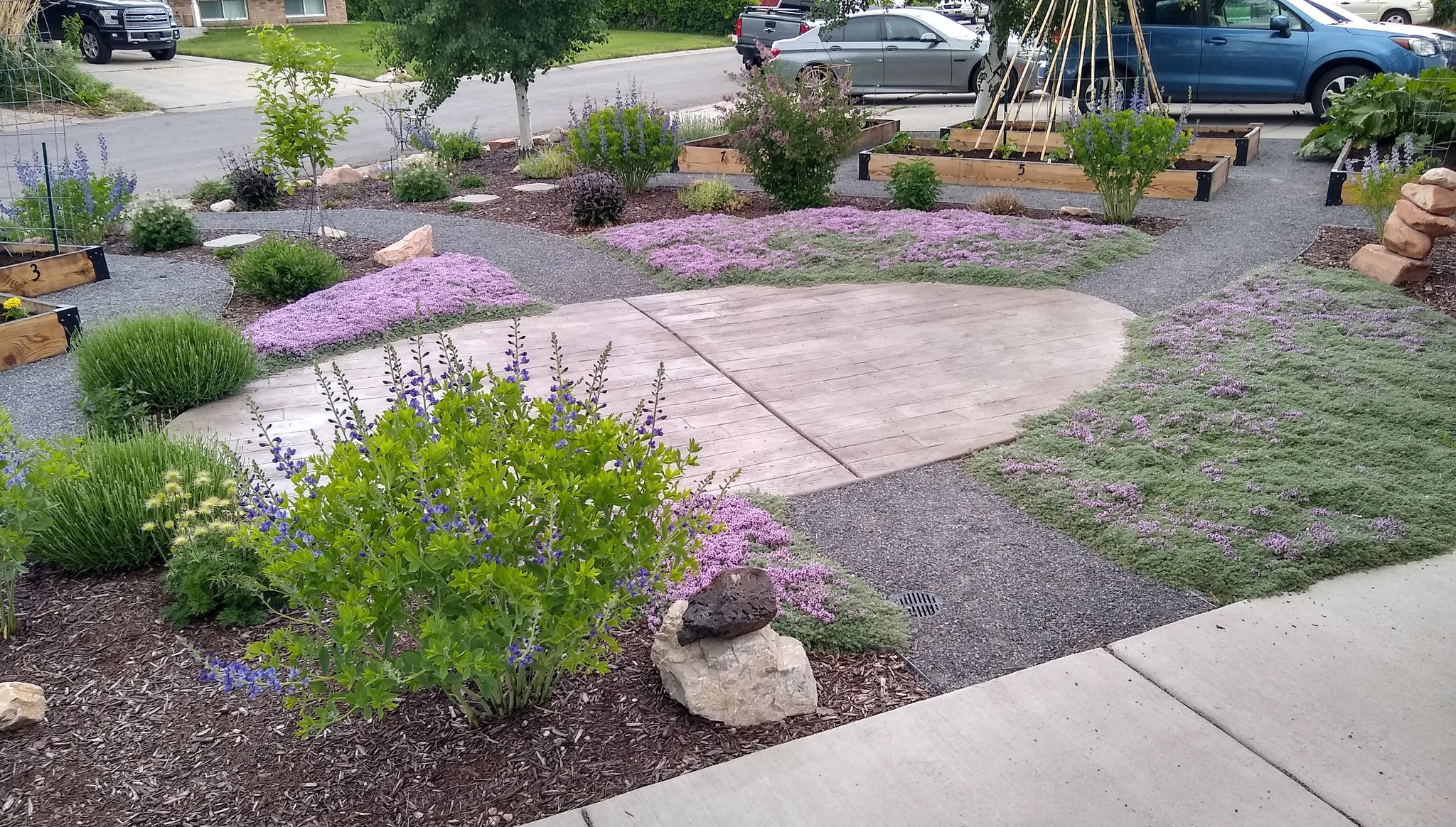 Why plants matter in water-efficient landscapes in Utah