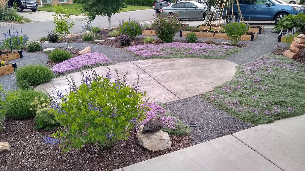 Why plants matter in water-efficient landscapes in Utah