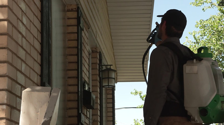 Bryce Bollinger sprays bug spray. Pest control experts like Bollinger told KSL-TV he has gotten an increase in calls to get rid of these buggy invaders.