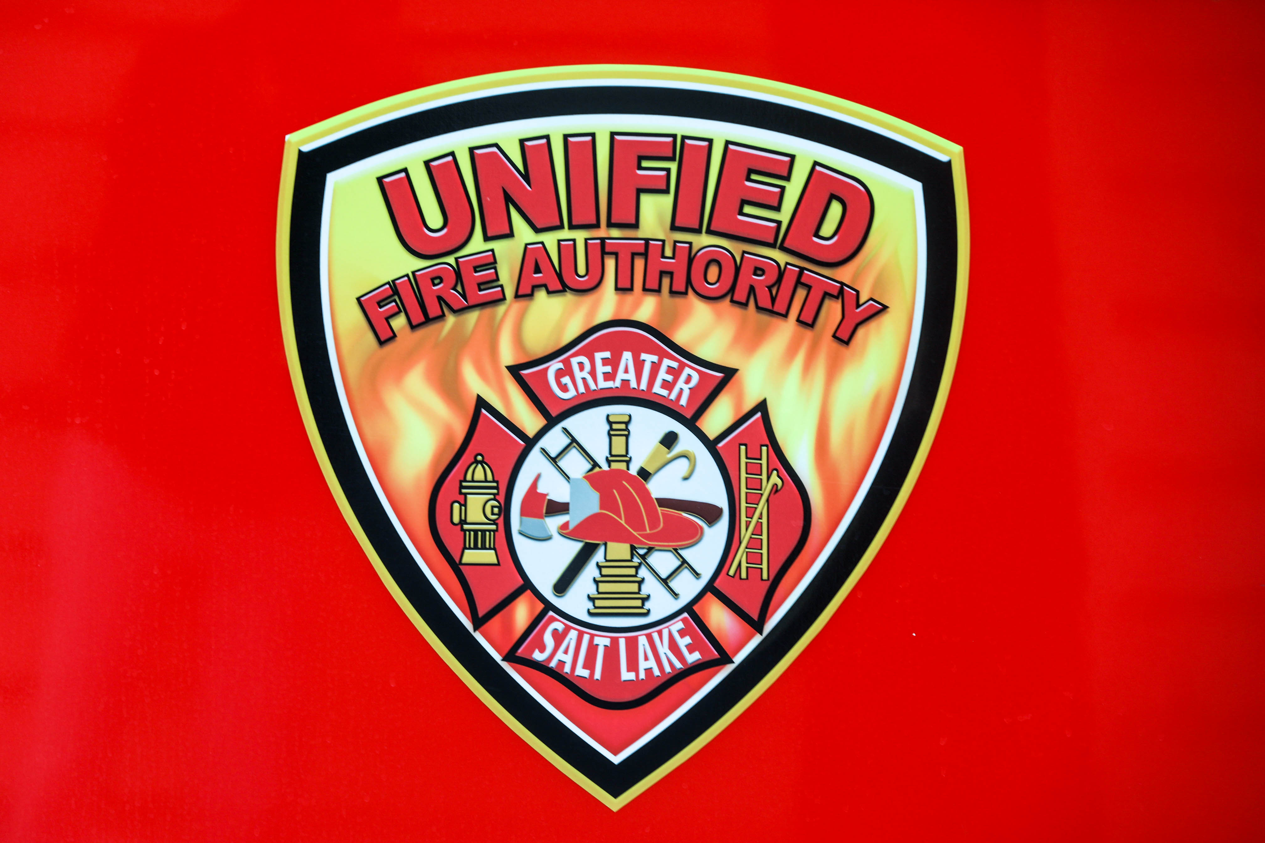 A Taylorsville man was sentenced Friday to one year in jail and four years of probation for setting his apartment building on fire in January. 