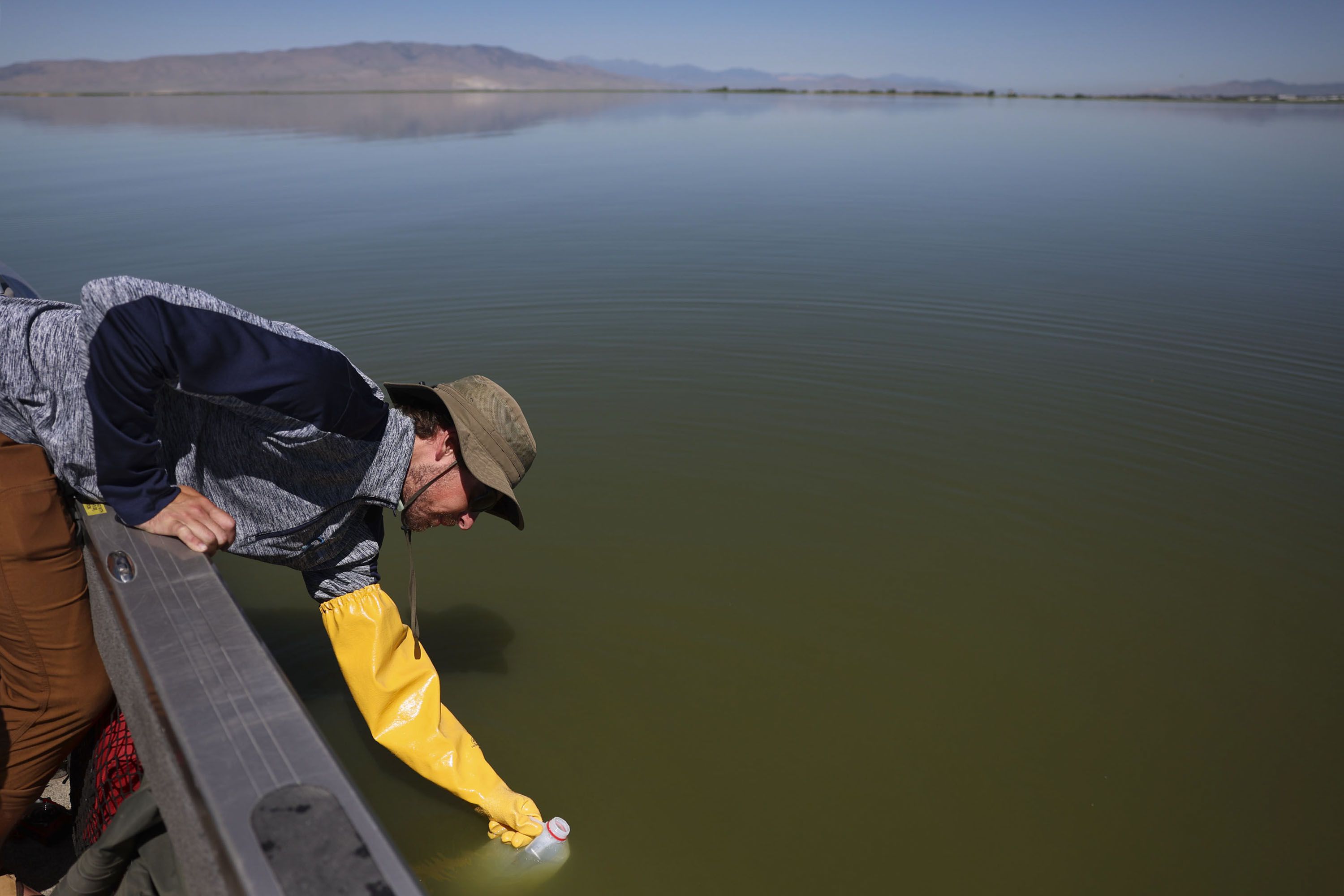 Cody Ellsworth, water quality technician for the Utah Division of Water Quality, collects a sample from Utah Lake on Thursday. Provo Bay is under health advisories due to the outbreak of harmful algal blooms, or cyanobacteria. 