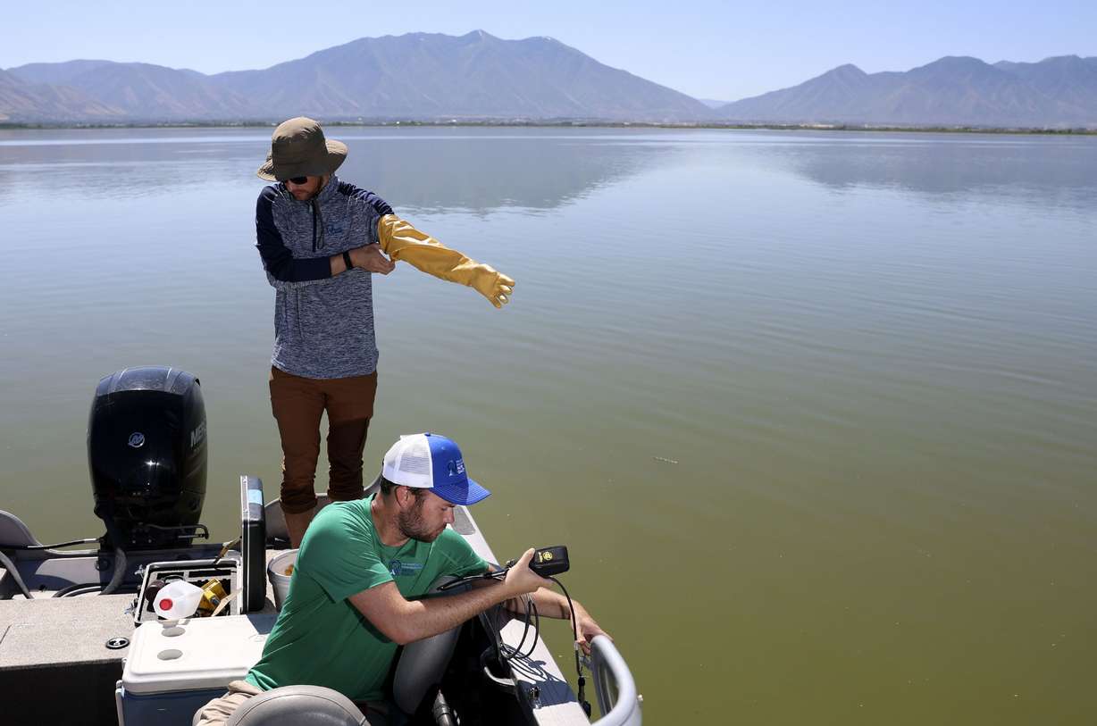 Cody Ellsworth and Riley Dart, water quality technicians for the Utah Division of Water Quality, collect samples and data from Utah Lake on Thursday. Provo Bay at Utah Lake is under health advisories due to the outbreak of harmful algal blooms, or cyanobacteria, which can cause respiratory problems, skin irritation and in some cases it can be fatal for dogs.
