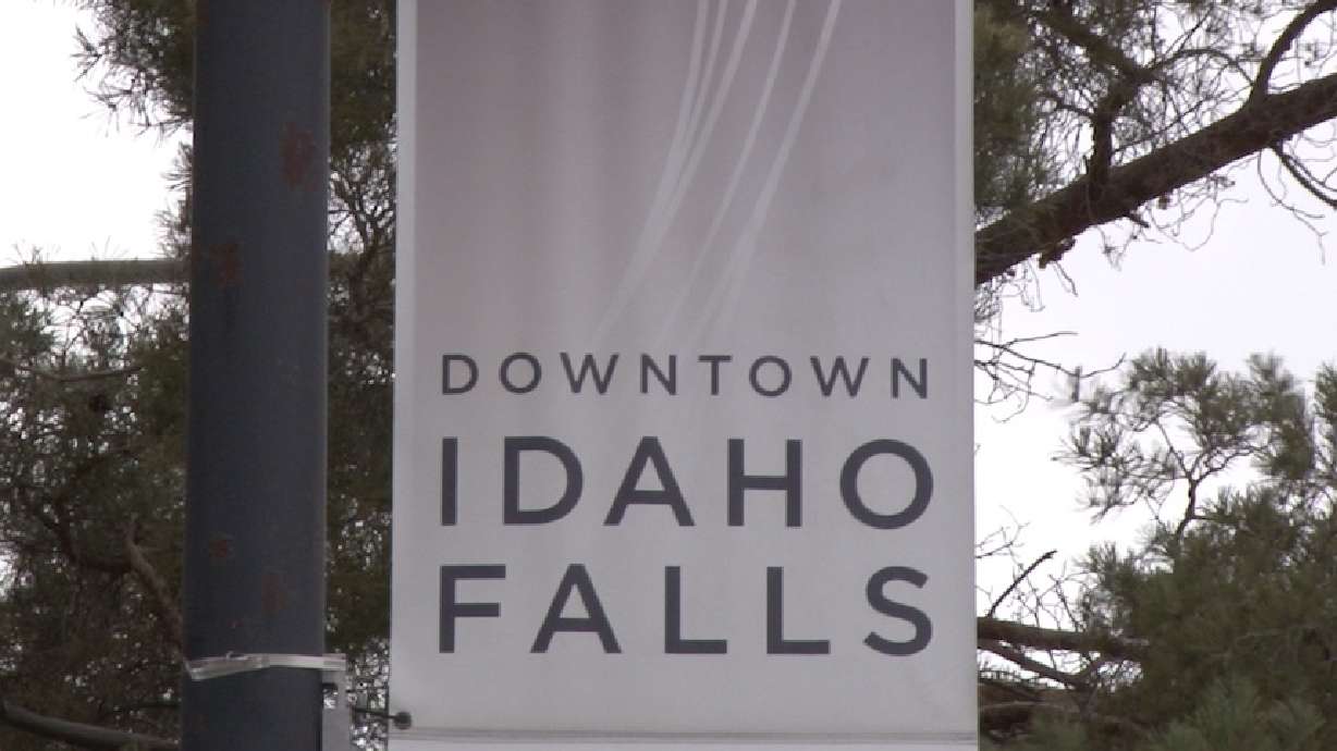 The Pets of Downtown mural is located in the alley off Park Avenue in downtown Idaho Falls.