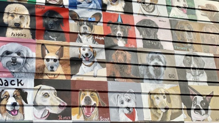 The mural was inspired by a mural in Del Ray, Virginia, titled Dogs of Del Ray, but all pets are welcome in the Idaho Falls version.