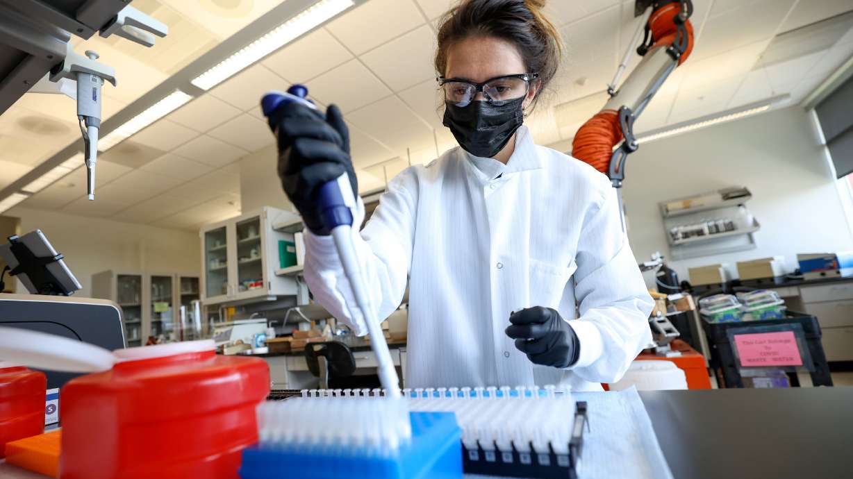 Maleea Ezekiel prepares wastewater samples, to test for COVID-19, at the Utah Public Health Laboratory in Taylorsville on Aug. 24, 2022. A bipartisan U.S. Senate group introduced a bill Wednesday meant to help communities track pathogens in wastewater.