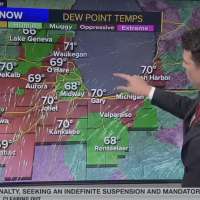 Have You Seen This? Meteorologist can't believe he's so lucky on live TV
