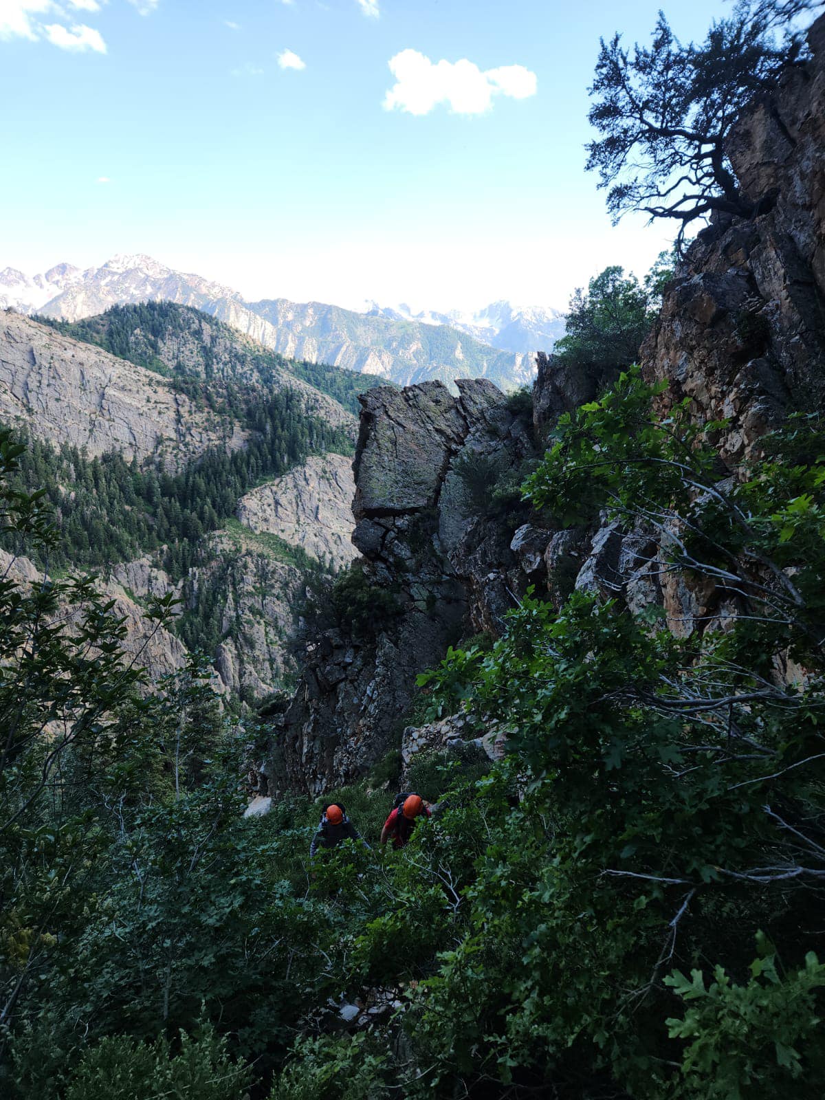 Rescuers hike through thick brush in upper Heughes Canyon, near Mt. Olympus, where a hiker became lost July 7.