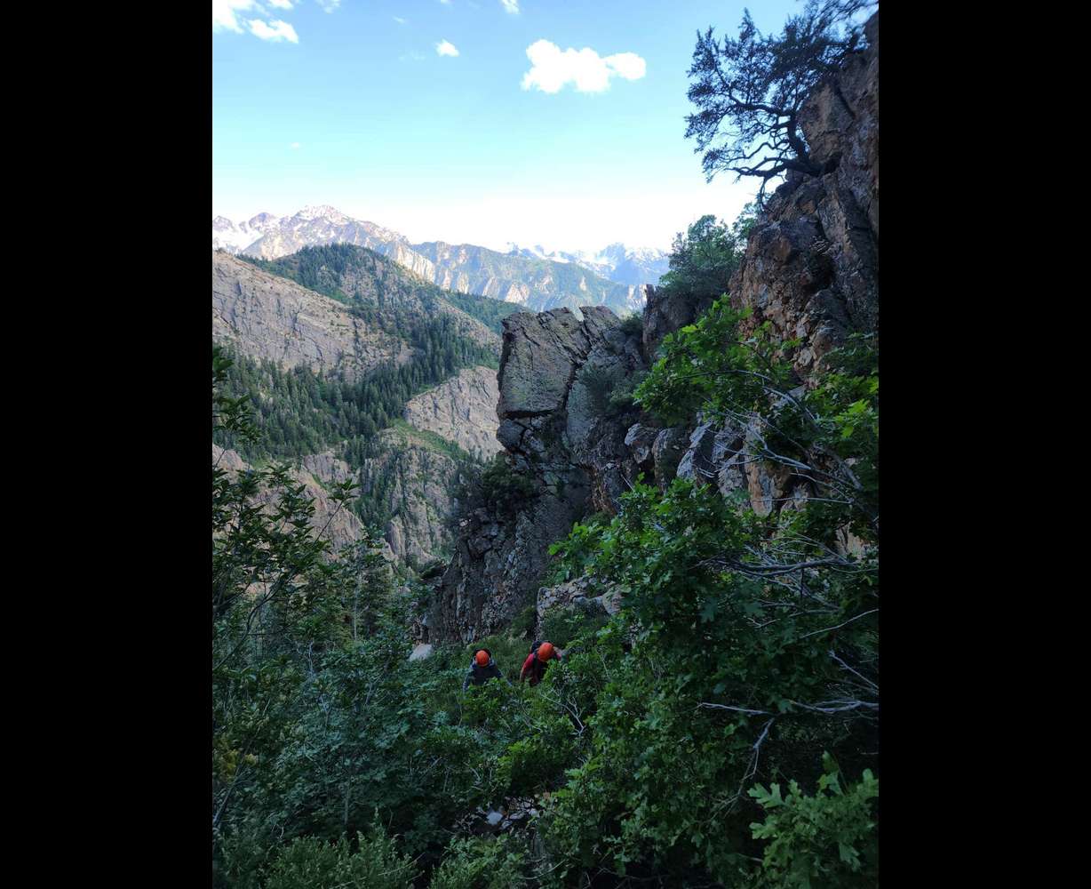 Rescuers hike through thick brush in upper Heughes Canyon, near Mt. Olympus, where a hiker became lost July 7.