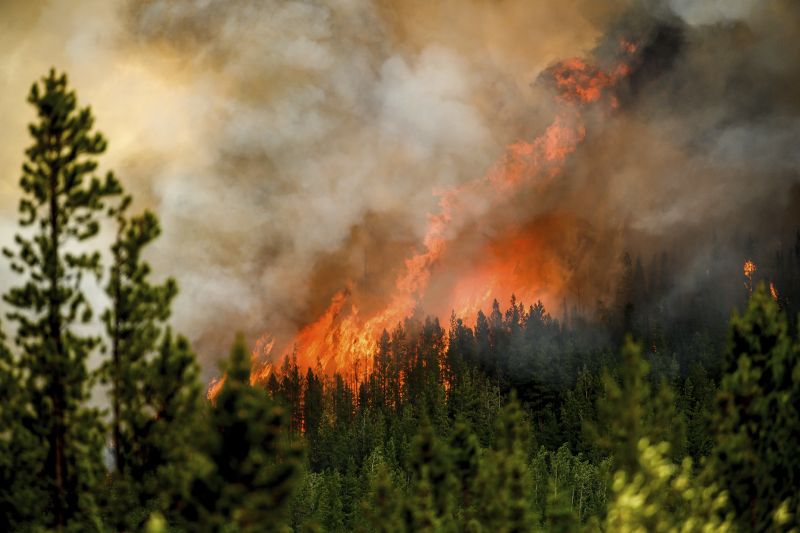 Flames from the Donnie Creek wildfire burn along a ridge top north of Fort St. John, British Columbia, on July 2.