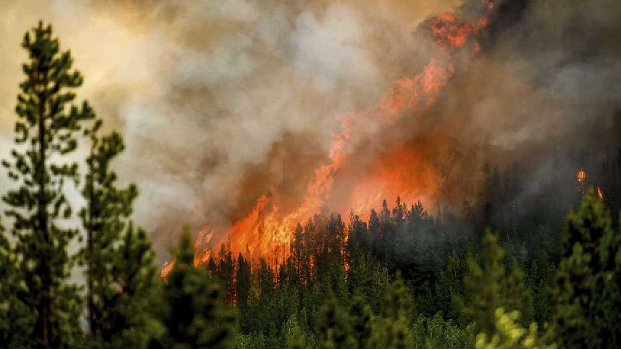 Flames from the Donnie Creek wildfire burn along a ridge top north of Fort St. John, British Columbia, on July 2.