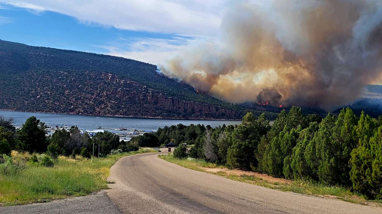 Lightning is being blamed for a wildfire that sparked near Flaming Gorge Reservoir Monday afternoon.