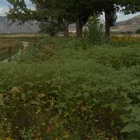 UDOT and USU pilot project protecting Utah's bumblebees