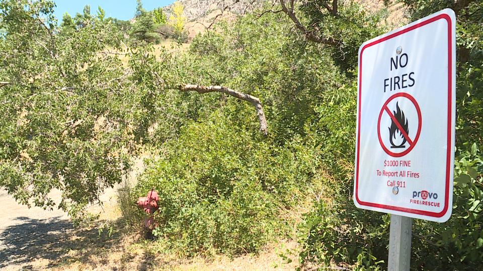 'Everything is drying out': Provo issues fire restriction order - Vimarsana News