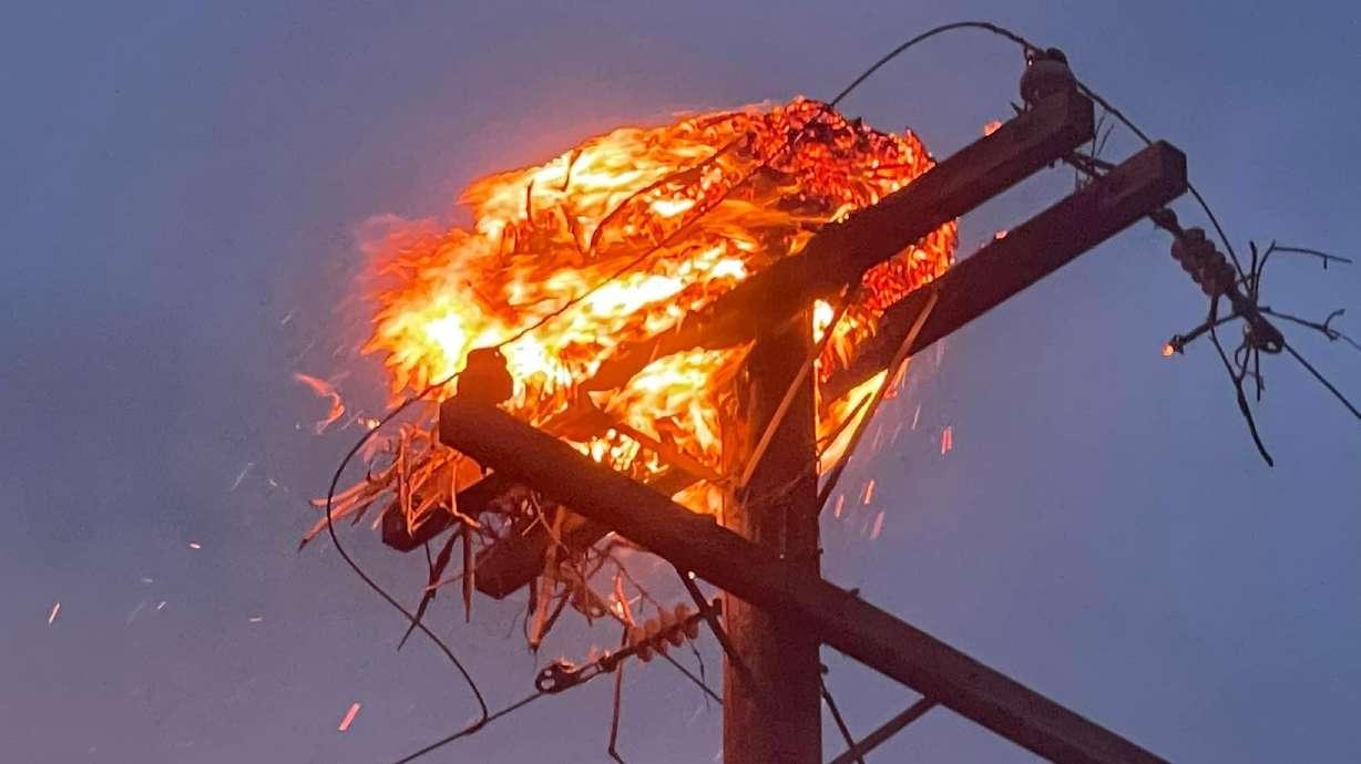 An osprey nest on fire near I-84 in Morgan on Wednesday evening. Morgan County firefighters said the fire killed a brood living in the nest.