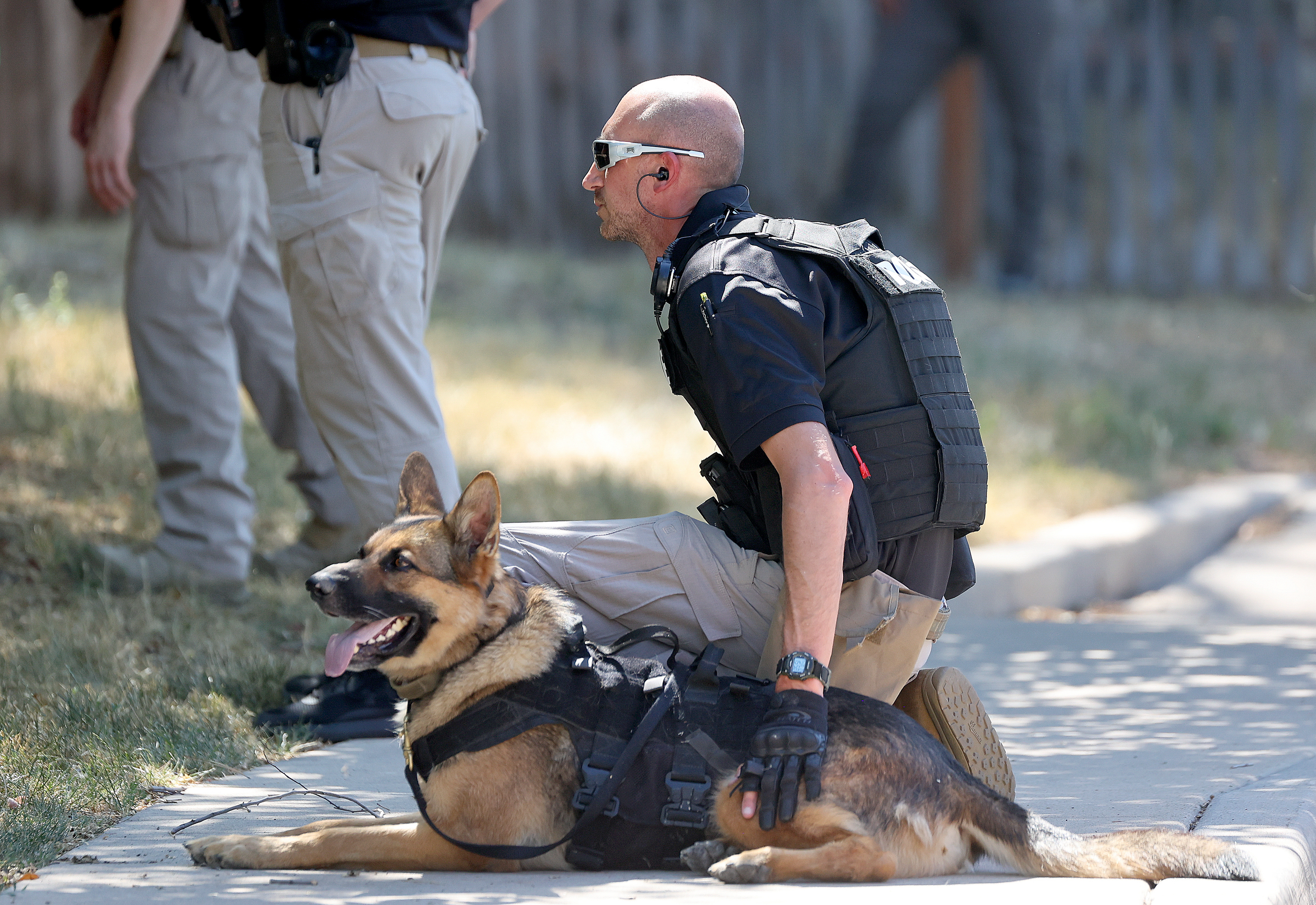 An Adult Probation and Parole agent and K-9 work with other AP&P agents to surround an apartment building and take a probation fugitive into custody in South Salt Lake on Thursday.