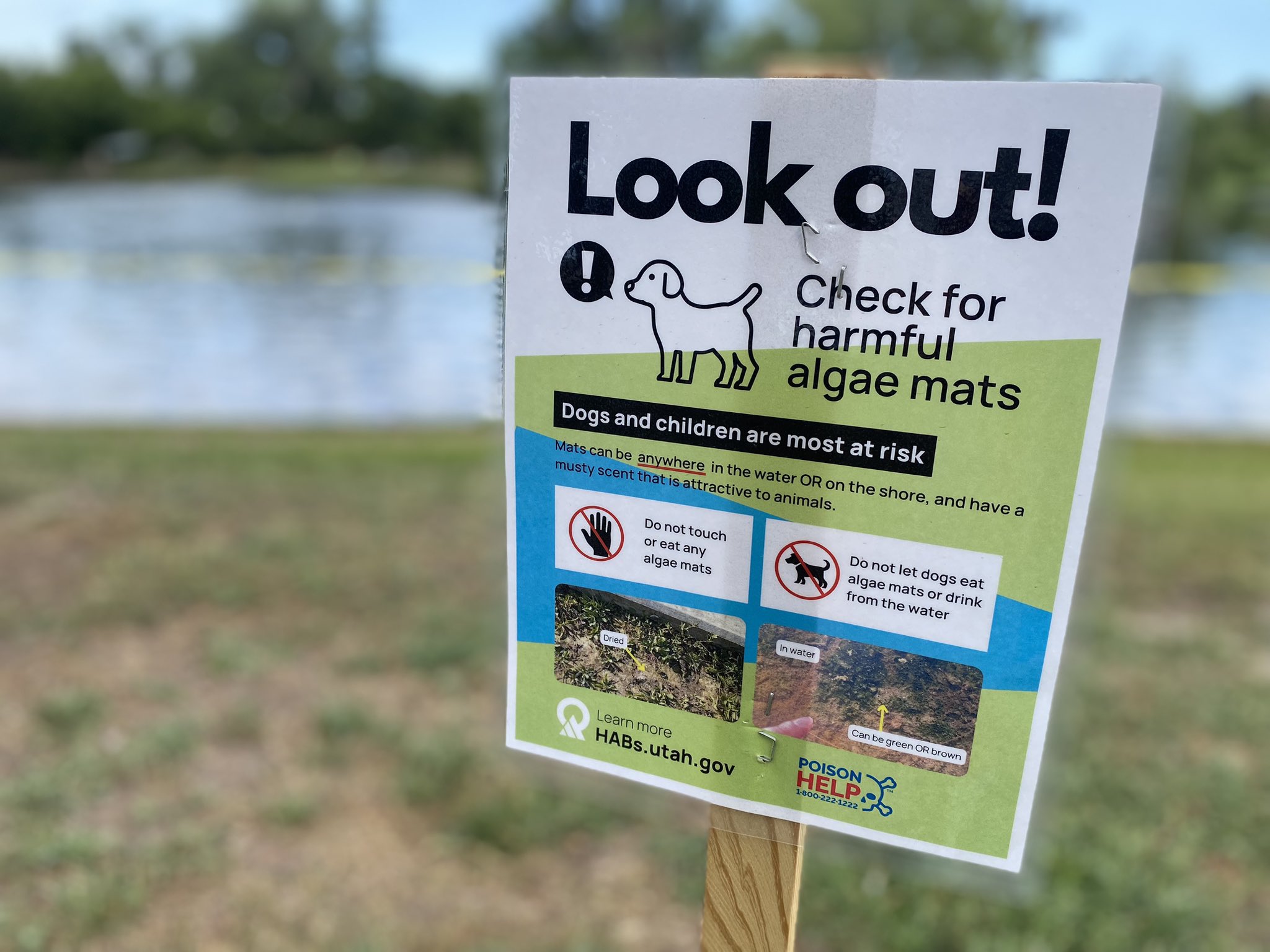 A sign warning visitors of harmful algal blooms near the Liberty Park pond in Salt Lake City on Tuesday. Utah wildlife biologists say 30 ducks were found dead at the park earlier this month.