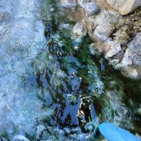 Hot weather fueling harmful 'algal mat' growth across Utah