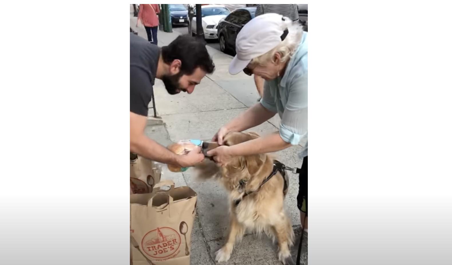This short clip is the aftermath of Murphy's attempted theft, which leads to a tug-of-war between the stranger and Murphy. As the pair fight to each hold their ground, Murphy's person is trying to pry open the dog's mouth, but Murphy is determined to get his forbidden treat.