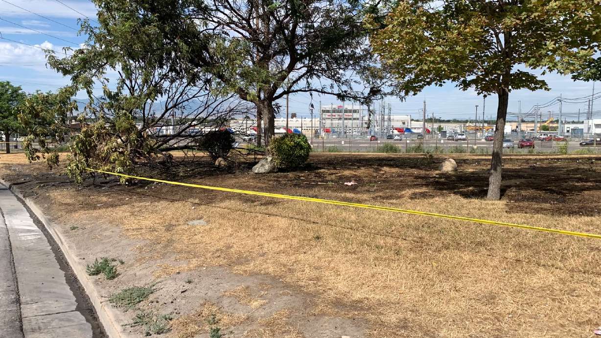 The identities of three men killed in a fiery crash on Beck Street on July 29 have been confirmed by police.