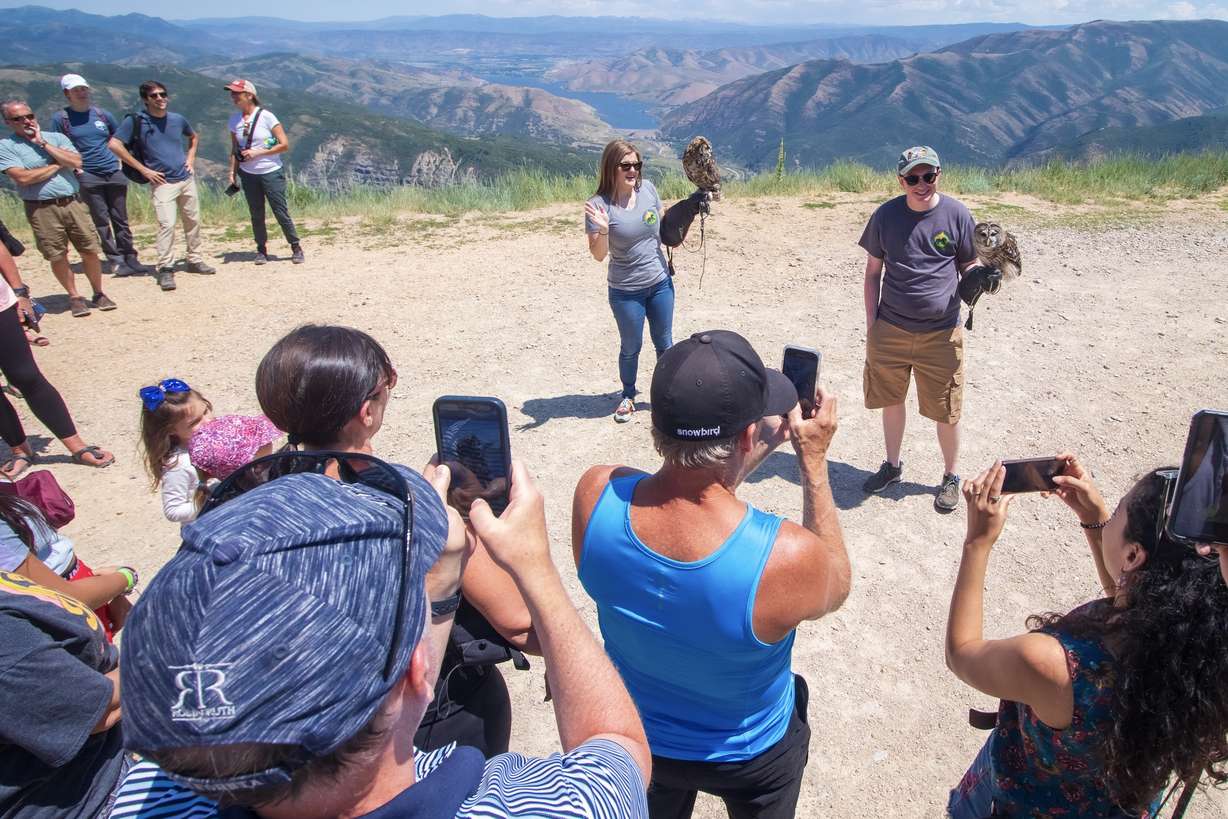 Great Basin Wildlife Rescue volunteers talk about wildlife during a wildlife release event at the top of Sundance Resort Saturday afternoon.