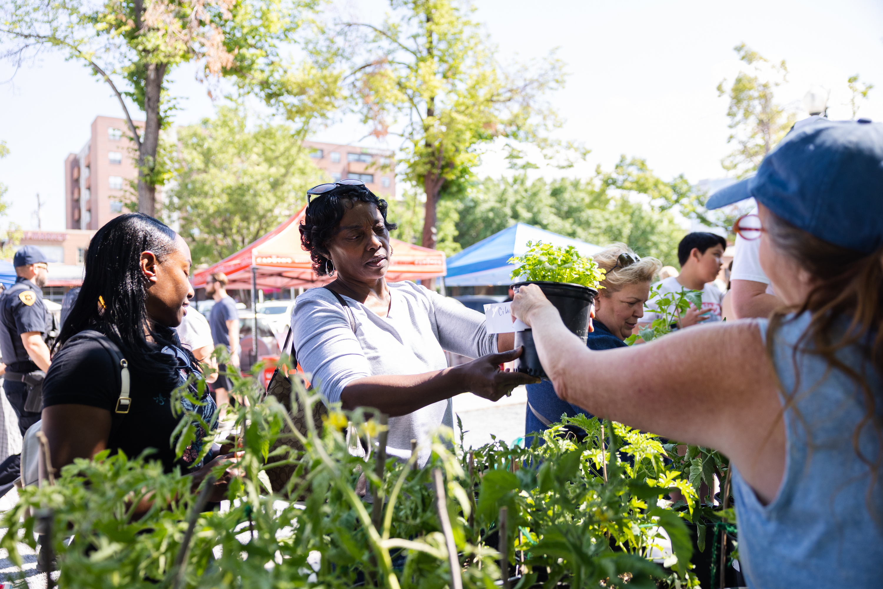 Tanya Ivy and her daughter Taya Lopez purchase plants from Patty’s Produce during the reopening of the Salt Lake City Farmers Market at Pioneer Park in Salt Lake City on June 3.