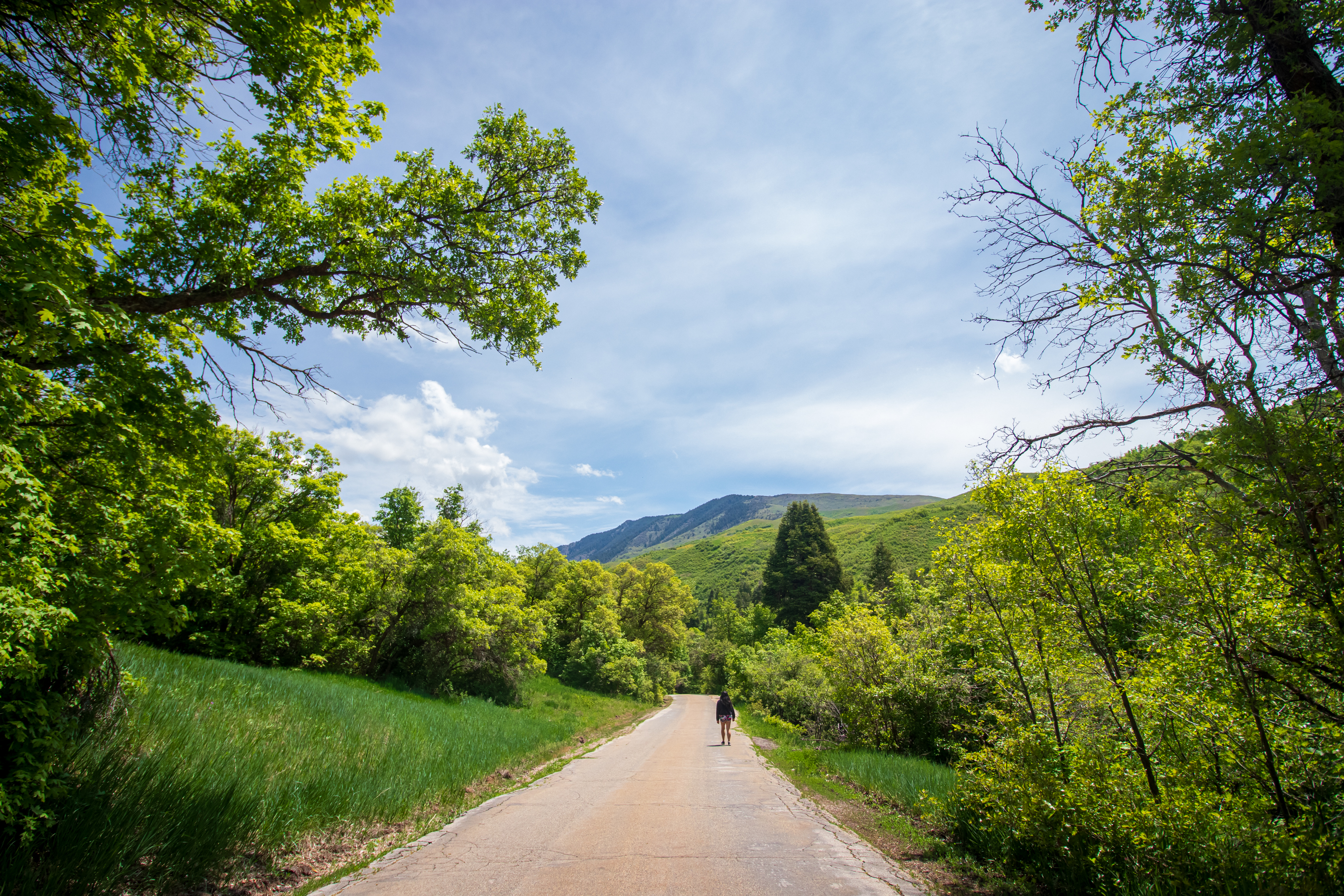 A person walks up City Creek Canyon on June 9. Police, firefighters and public utilities officials say there has been an uptick in "accidents, close calls and injuries" in the canyon in recent months.