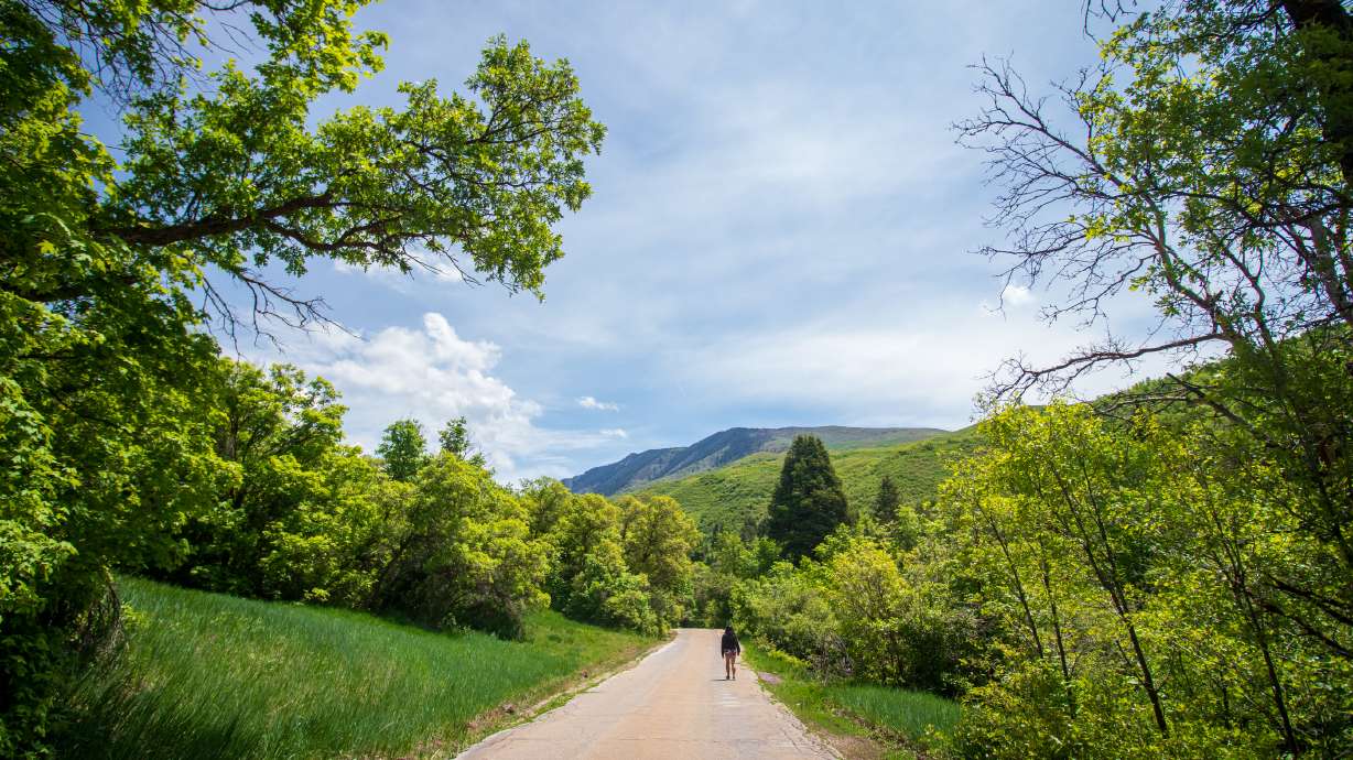 A person walks up City Creek Canyon on June 9. Police, firefighters and public utilities officials say there has been an uptick in "accidents, close calls and injuries" in the canyon in recent months.