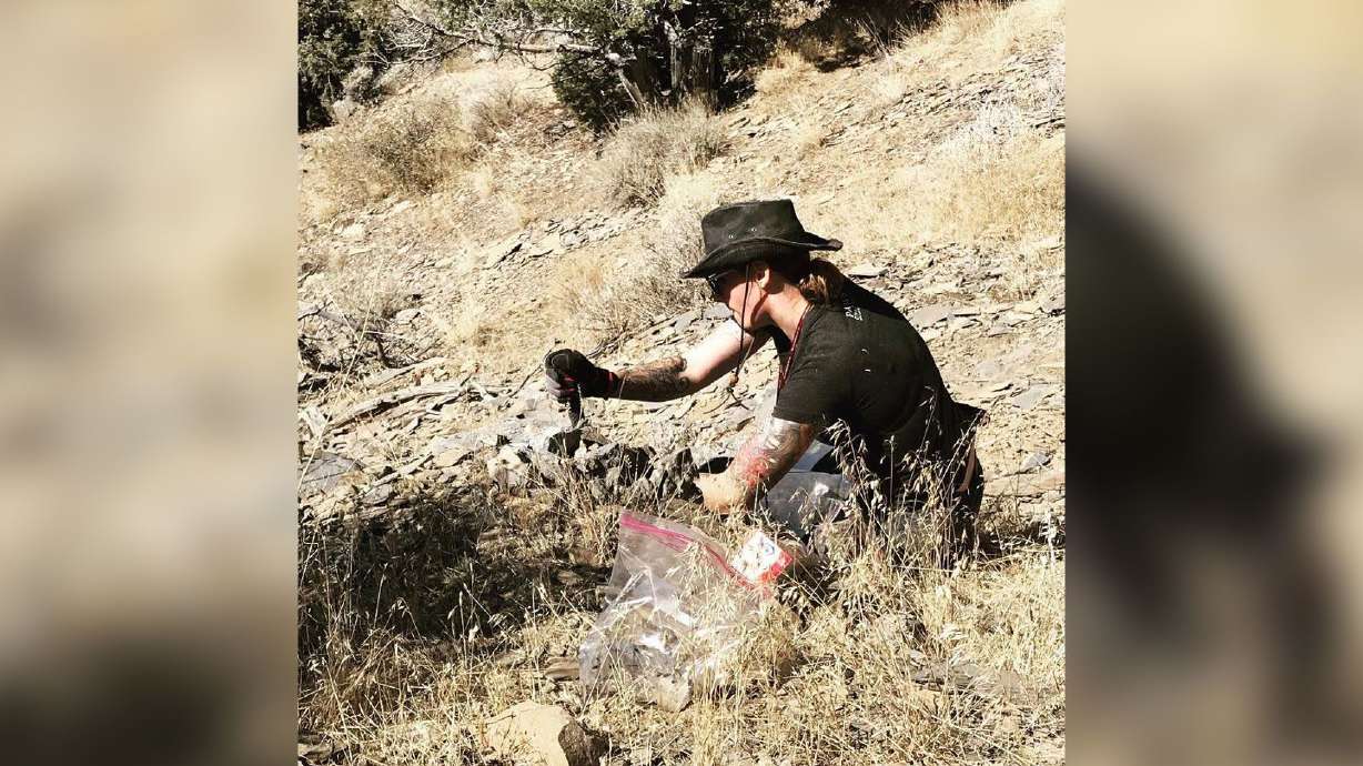 Rhiannon LaVine collects fossils from one of the Spence Shale outcrops in northern Utah.