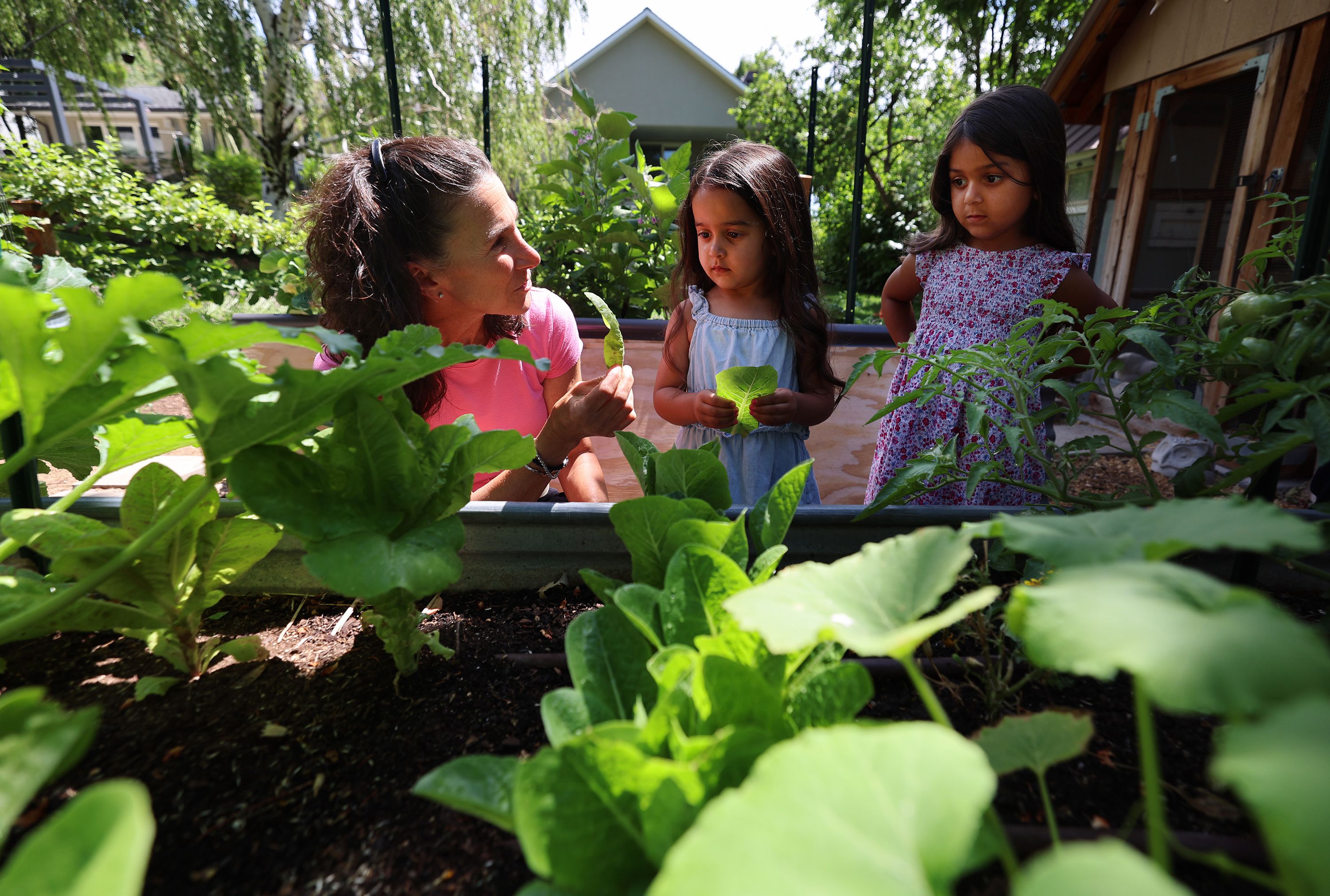 Dr. Bonnie Feola shows Mila and Arianna Gill some lettuce from her garden at her home in Salt Lake City on July 26. Feola works with kids and parents on learning about eating healthy and how to prepare food,