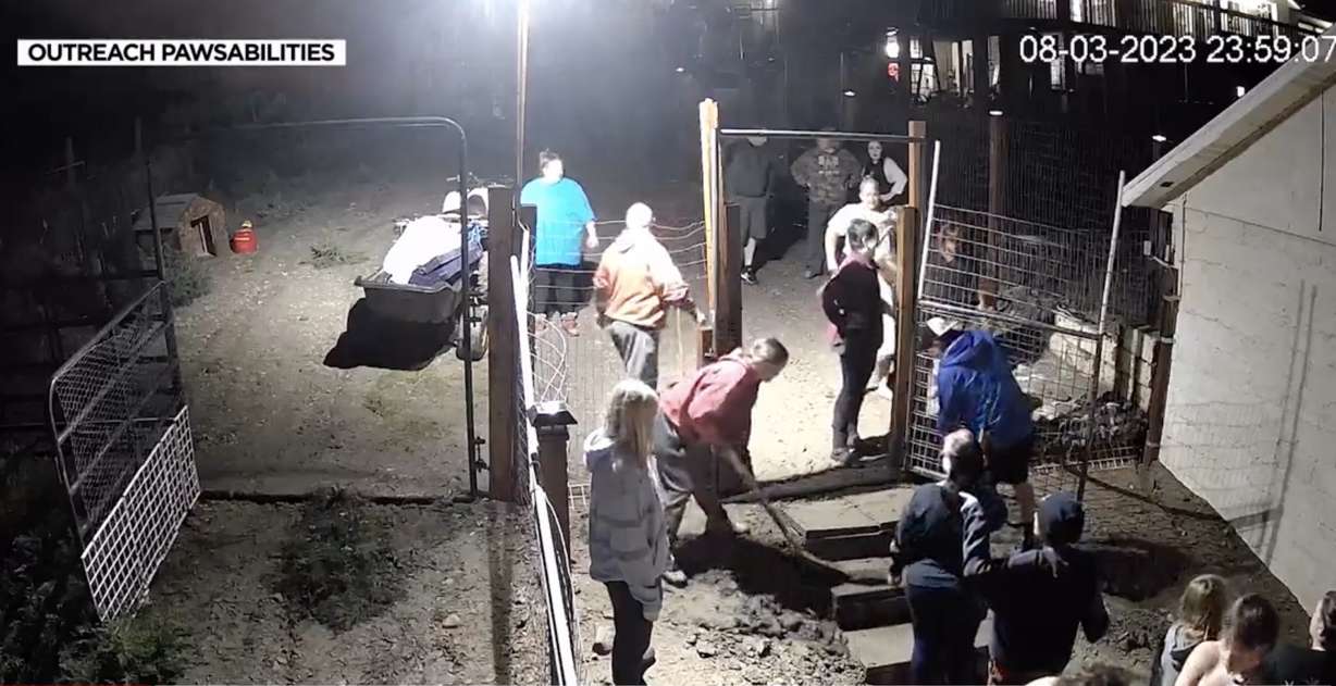 Volunteers came to the rescue at Outreach Pawsabilities in Herriman Thursday to save many pets and provide cleanup during a recent storm.