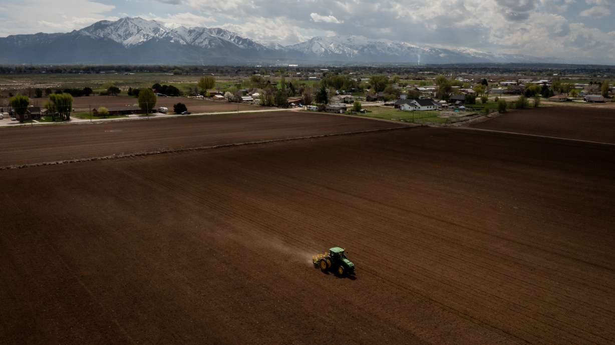 Ron Gibson, owner of Gibson’s Green Acres and president of the Utah Farm Bureau, drives a tractor while planting a field with corn in Ogden on May 4. Utah agriculture officials announced the recipients of 93 water optimization projects on Monday.
