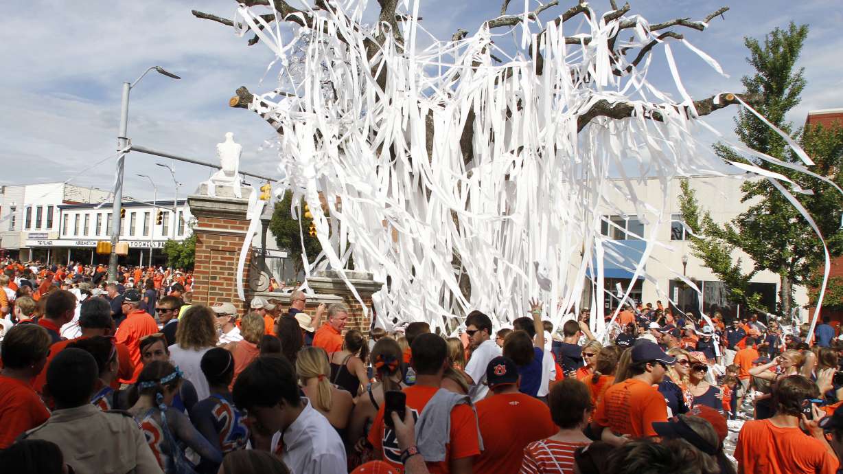 FILE - Auburn fans roll the iconic oak trees at Toomer's Corner with toilet paper after beating Lousiana-Monroe 31-28 in overtime of an NCAA college football game in Auburn, Ala., Sept. 15, 2012. Auburn fans will once again be able to celebrate victories by rolling the oak trees at Toomer’s Corner with toilet paper. Auburn had asked fans not to roll the new trees after their planting in Feburary 2017 until they were established enough to avoid damage.