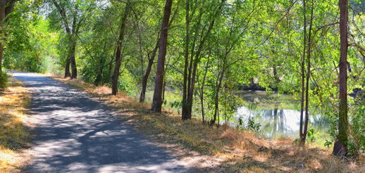 Jordan River Trail