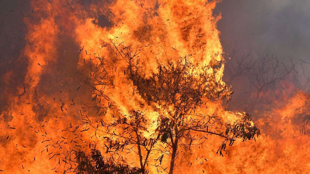 An out-of-control wildfire that began along a major Central Maui highway burns on July 11, 2019, in Maui, Hawaii.