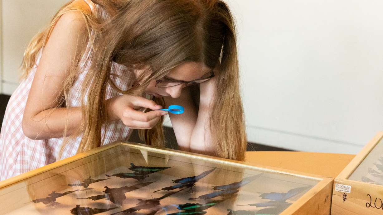 Olivia Adams, 9, uses her magnifying glass to examine some butterflies in the entomology showcase at BUGfest at the Natural History Museum of Utah in Salt Lake City on Saturday.