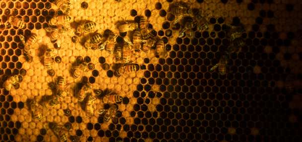 Top Environment story anchor