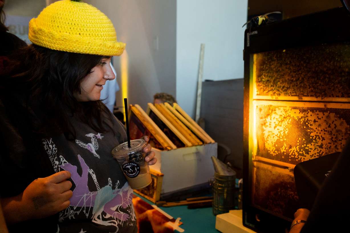 Berkley Larsen looks at bees at BUGfest at the Natural History Museum of Utah in Salt Lake City on Saturday.