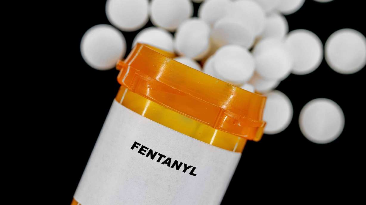 A man who police believe has been distributing a large amount of drugs throughout Utah County was arrested Monday while allegedly returning from picking up the drugs in Arizona.
