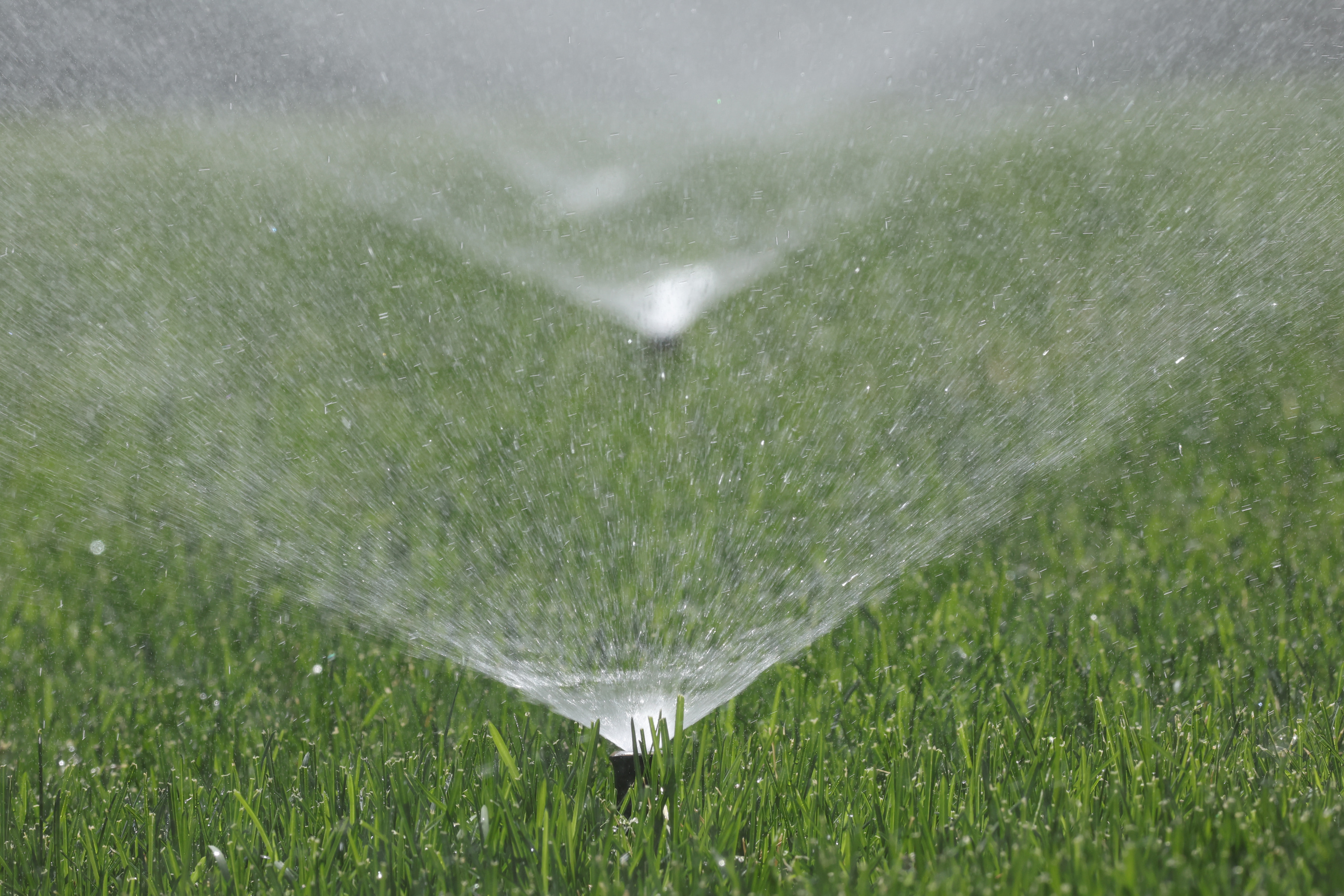 How Utah homeowners can navigate water conservation efforts and HOA regulations